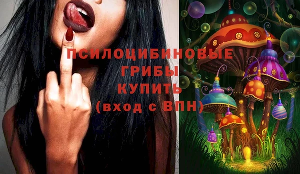 МДПВ Алексин