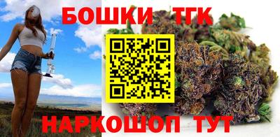 стаф Можга