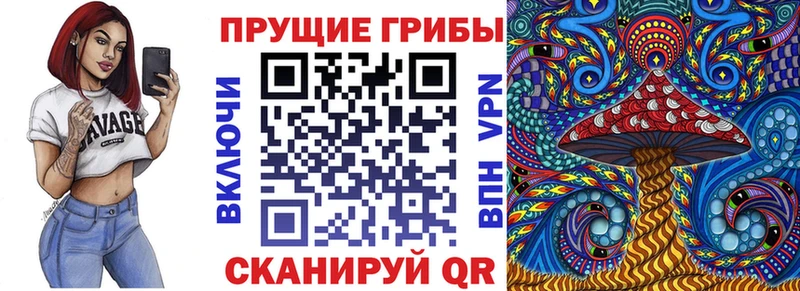 Галлюциногенные грибы Psilocybe Ижевск