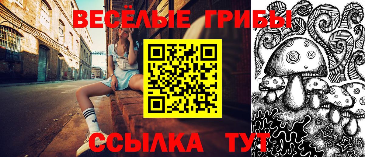 Псилоцибиновые грибы MAGIC MUSHROOMS  Вход с VPN  Ижевск 